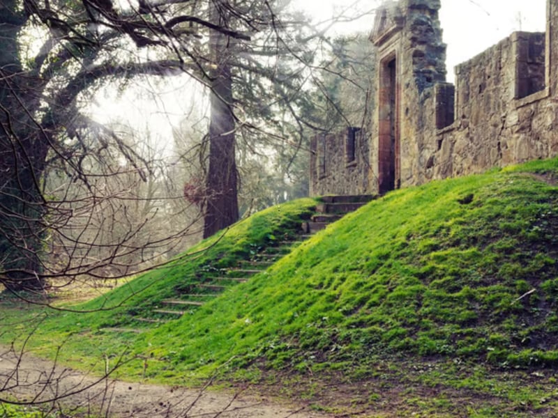 Sitting on the edge of the Capital, the 85-acre Cammo Estate is a country park offering miles of pretty woodland walks, along with a picturesque tower and the atmospheric ruins of Cammo House.
