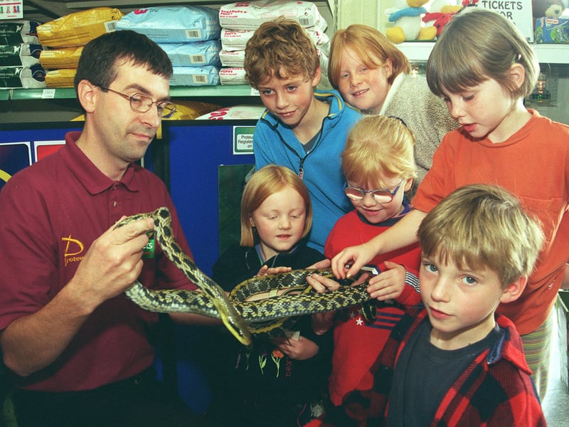 John Conlan, of the Proteus Reptile Rescue and Sanctuary, introduces children to a Taiwanese beauty snake at the Pets at Home store, in Drakehouse Retail Park, Sheffield, in September 1999
