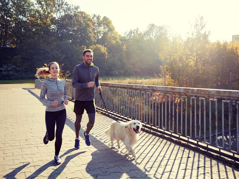 There's no need to leave the dog at home when you go out for a run - if you choose one of these breeds.