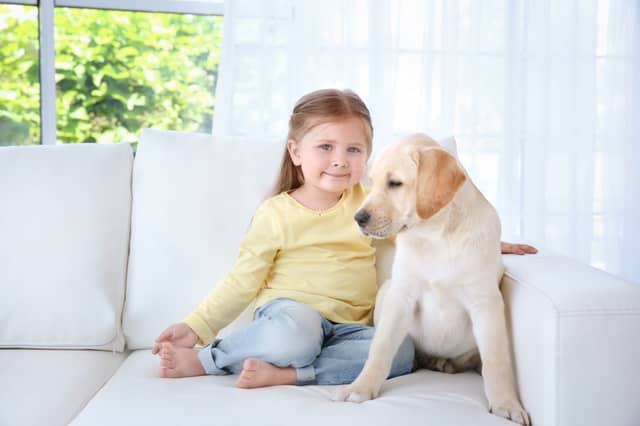 Dogs and children can form strong relationships.