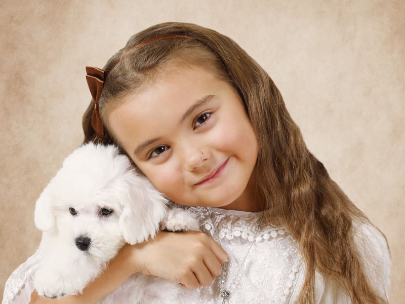 This cheerful, hypoallergenic breed loves kids and all the attention they inevitably get from the wee ones. Bichons are small, cuddly, and enjoy playing games for hours. Their coat requires grooming, but their affectionate personality makes them ideal for families.