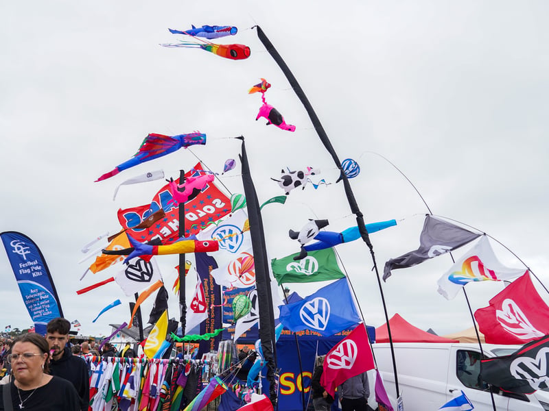 Flags on display at the Beach Dubbin festival on Southsea Common in Portsmouth. 

Picture: Alec Chapman