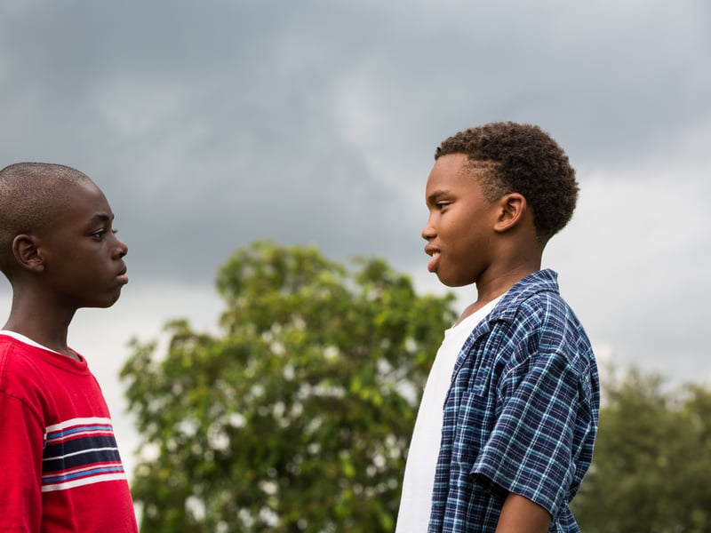 Winner of the Academy Award for Best Picture (after La La Land was mistakenly announced), Barry Jenkins' drama looks at three important chapters in the life of a young black man growing up in Miami. Starring Mahershala Ali it has an impressive 98 per cent positive reviews.