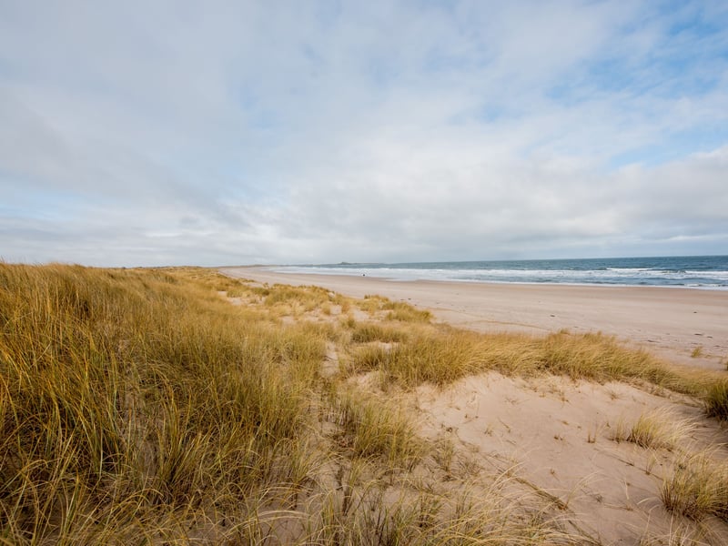 Ross Back Sands in Northumberland offers three miles of uninterrupted sand with views of Holy Island and Bamburgh Castle. It earned five star ratings from 87.65 per cent of reviewers.