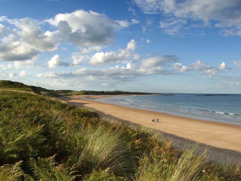 The first English beach to make the list is Embleton Bay - a long stretch of golden sand in Northumberland overlooked by the dramatic ruins of Dunstanburgh Castle. A total of 88.05 per cent of reviewers rated it five stars.