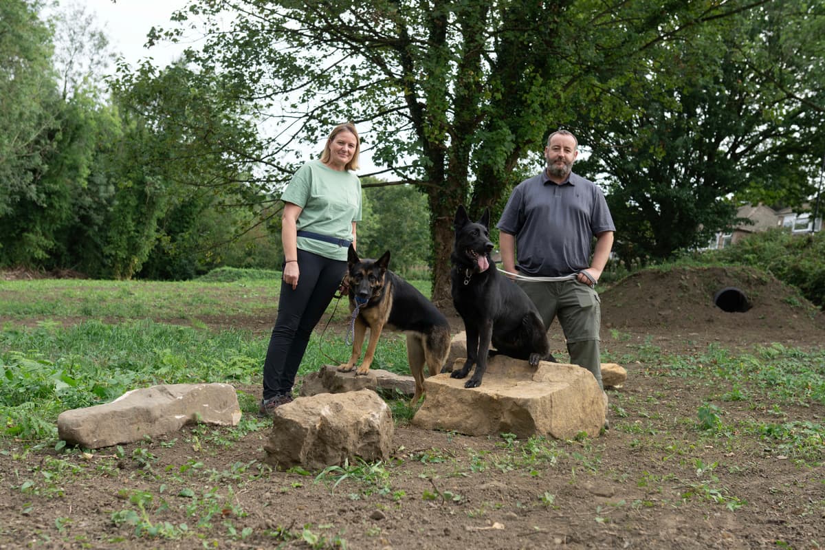 Sheffield dog park plan runs into opposition over noise, congestion and ...