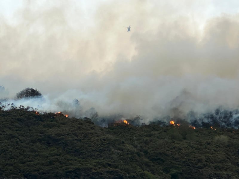 The fire is leaving devastation in its wake as trees and shrubbery are destroyed in the blaze.