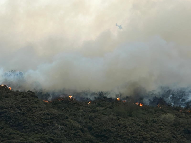 Charred trees and shrubbery can be seen on the side of Arthur's Seat.