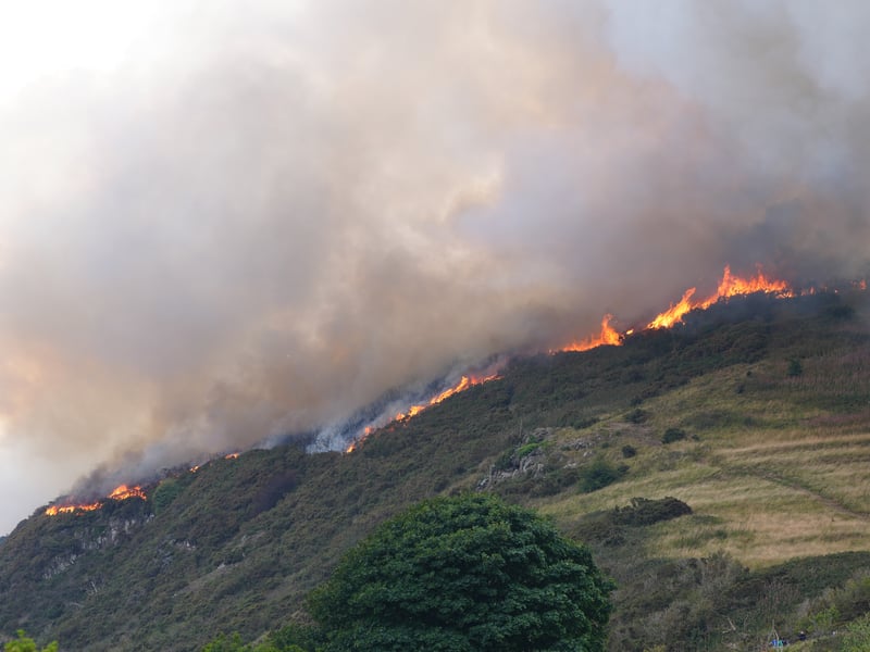 Fire crews were called after flames were spotted ripping through gorse on Arthur's Seat shortly after 4pm on Sunday.