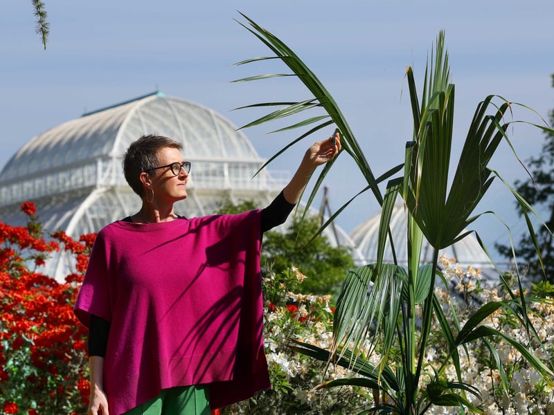 Scottish singer-songwriter Karine Polwart is behind another of this year’s 5-star Edinburgh Fringe shows. Told from the perspective of the Sabal palm of Edinburgh’s Royal Botanic Garden this production finished its run at the Queen’s Hall on August 13, but our reviewer praised the show’s “wistful yet powerful” songs.