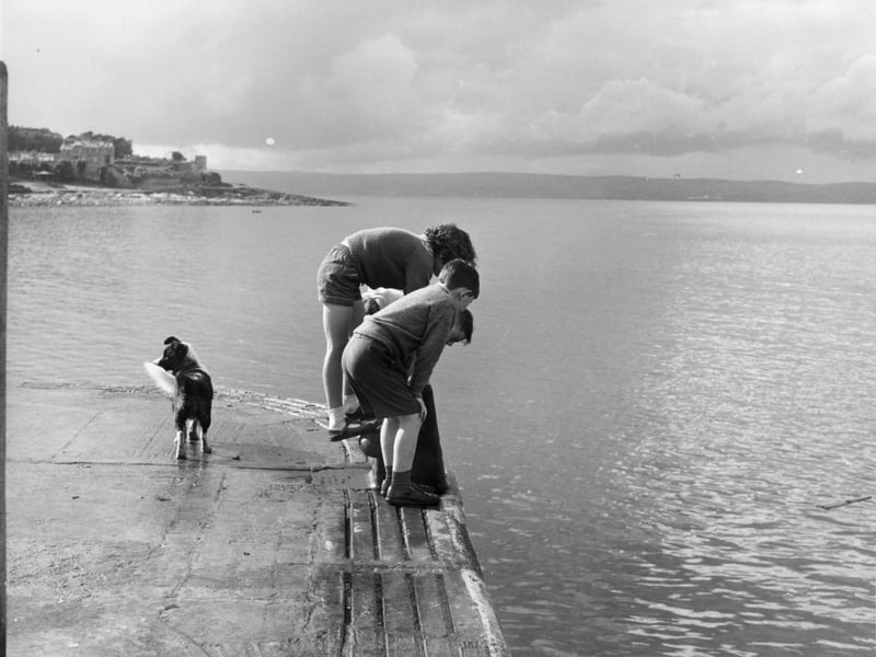 A group of children looking into the water at the harbour in Bangor, County Down, in August 1963