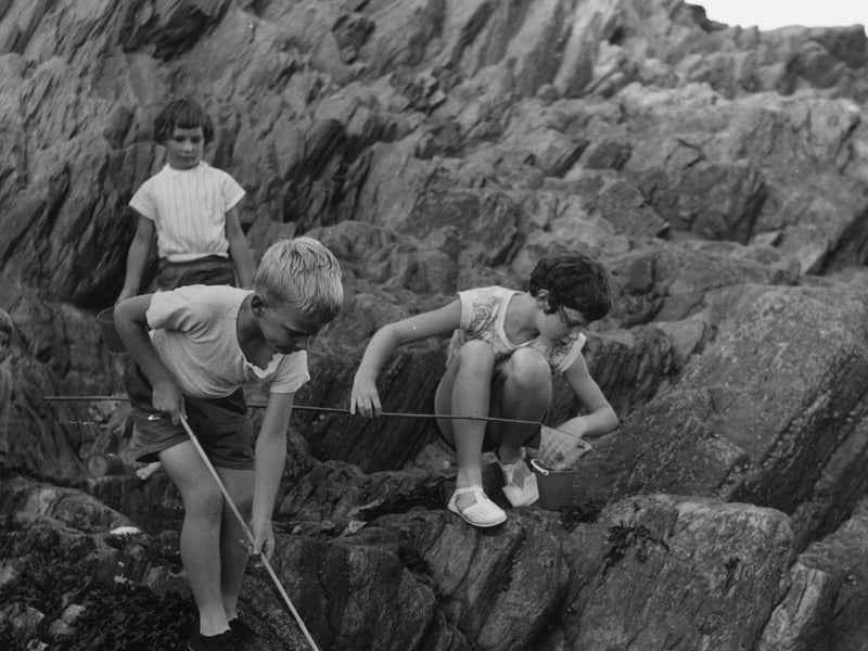 Children fishing in rock pools, in Torquay, Devon, in August 1963