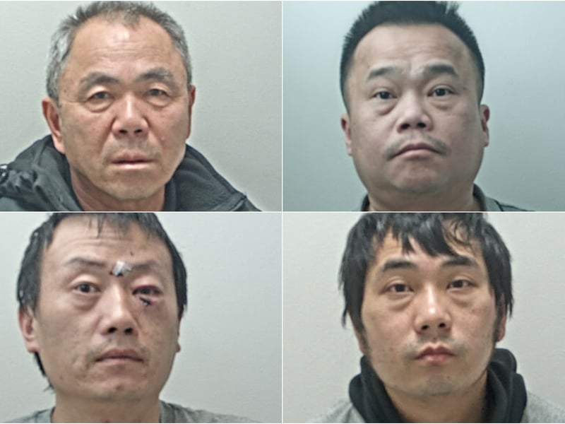 Guoxi Wang, 61, Ziming Guo, 45, Long Wen, 41, and Wenjun Chen, 36, all of no fixed address, were jailed after police discovered a £200,000 cannabis farm at an industrial unit on Squires Gate Lane, Blackpool. The group received sentences ranging from six years three months to two years.