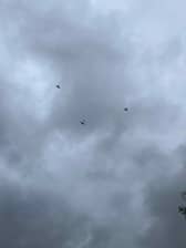 Two World War Two Mustang fighters and a King Air gave Sheffield a surprise flypast. Photo: Clare Lindley