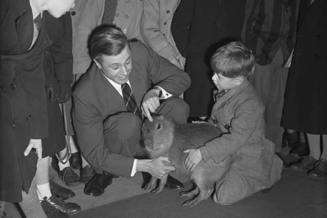Sir David Attenborough is pictured here in January 1956, aged 29, introducing children to a capybara at the Royal Geographical Society. The broadcasting legend began his career with the BBC as a trainee producer in 1952 and got his first big break as host of Zoo Quest two years later. His stunning documentaries, including Wildlife on One, and The Blue Planet, have opened our eyes to the majesty of the natural world, as well as the challenges it faces.