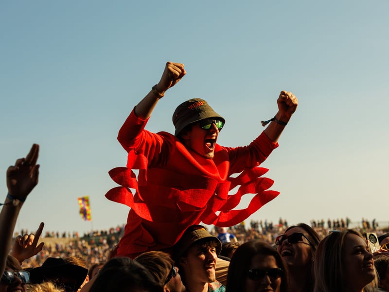 Excited crowds watch Daniel Bedingfield perform at Victorious
Picture: Marcin Jedrysiak