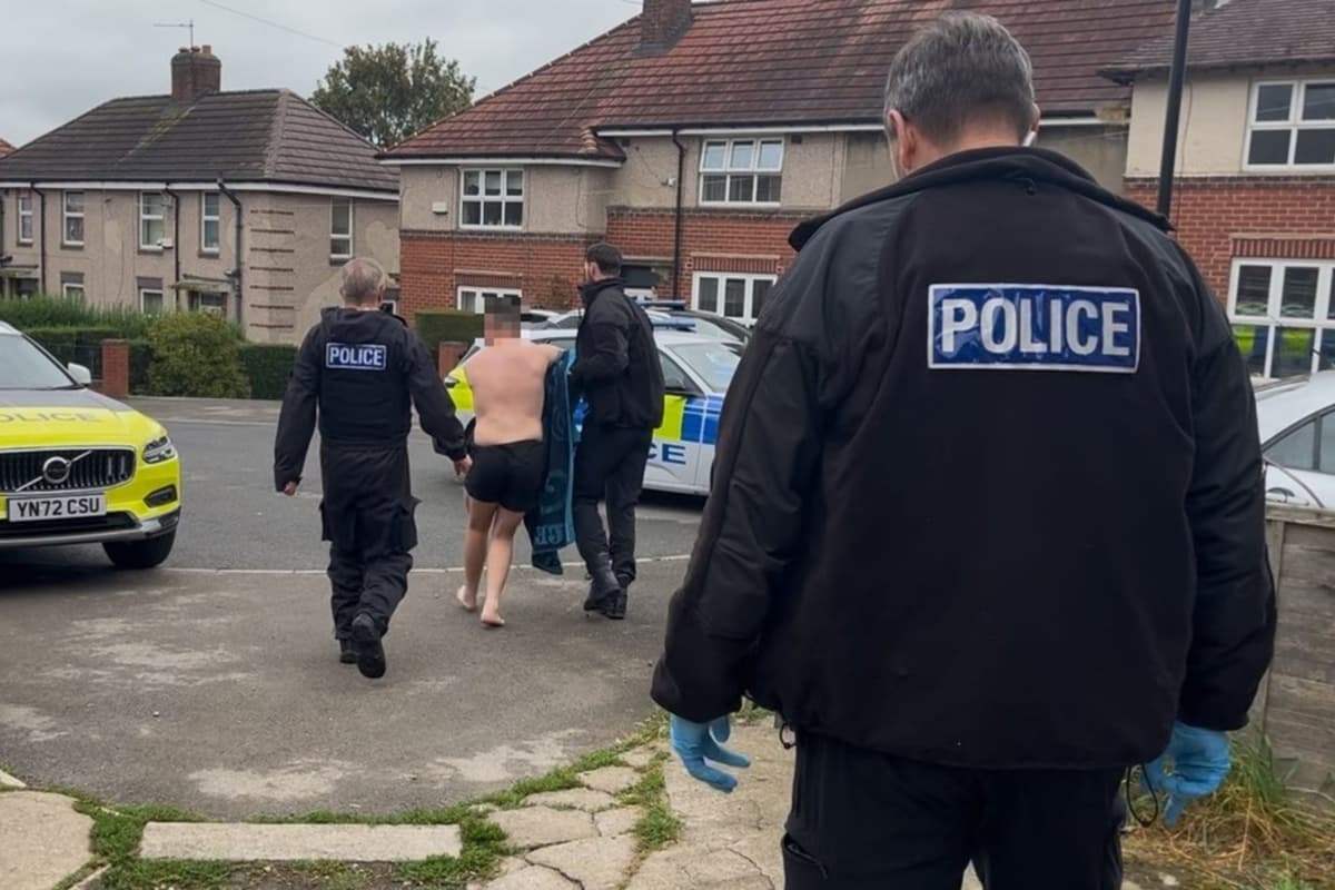 Acacane Vehicles Crack cocaine, cannabis & 18 vehicles seized in organised crime ...