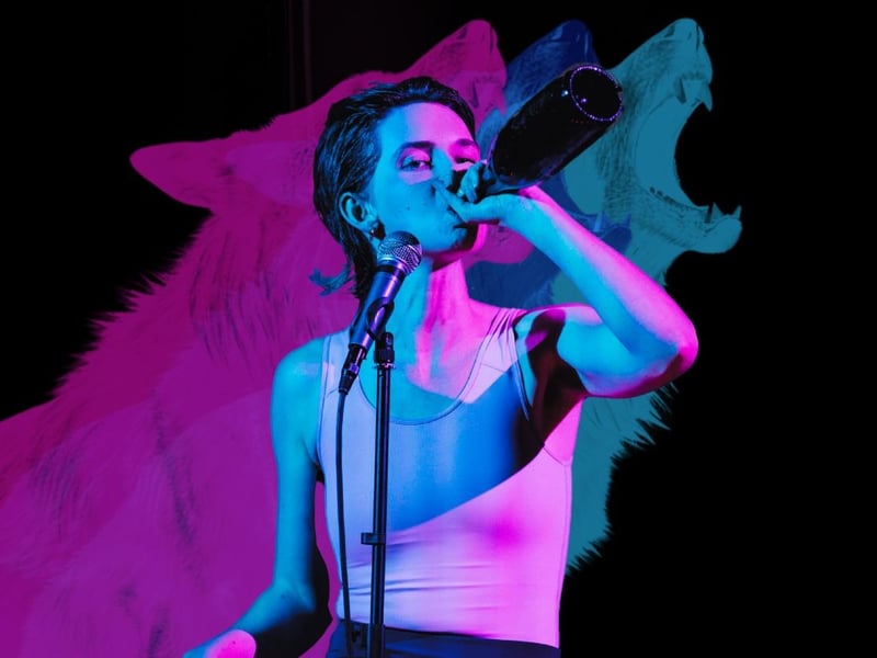 A 5-star piece of theatre which earned 5-stars from our critic, BITCH is “a work of rage, fear and compassion”. Starring Marty Breen who plays two characters, the true story at the heart of the play only reveals itself when the narratives of domestic violence begin to overlap. “Breen makes a craft of the cusp, the punchline is her tightrope, and each scene is suspended over a gap in the world only we seem to see or understand,” our reviewer wrote. BITCH is on until August 25 at Jack Dome, Pleasance Dome.
