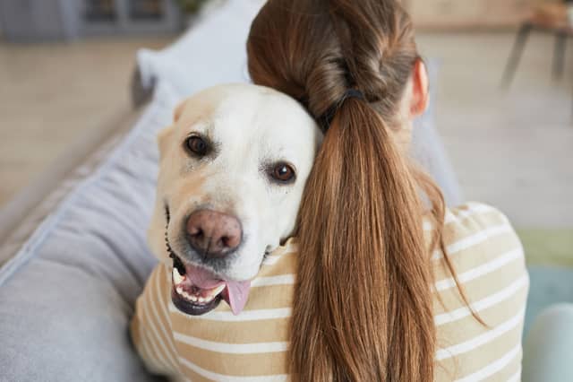 Some dogs just love cuddles.