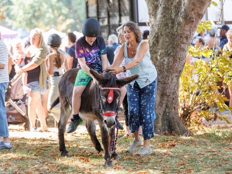 Pictured: Owen and Layla Rose first time on the Donkey Picture:Marcin Jedrysiak