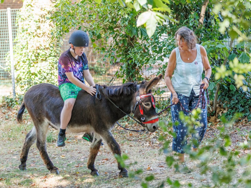 Pictured: Owen and Layla Rose first time on the Donkey Picture:Marcin Jedrysiak