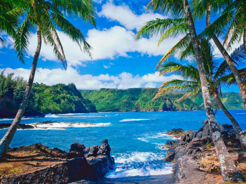 Completing out list of likely wedding venues is the tropical paradise of Hawaii, priced at 20/1. The couple could probably hire an entire island for their big day.