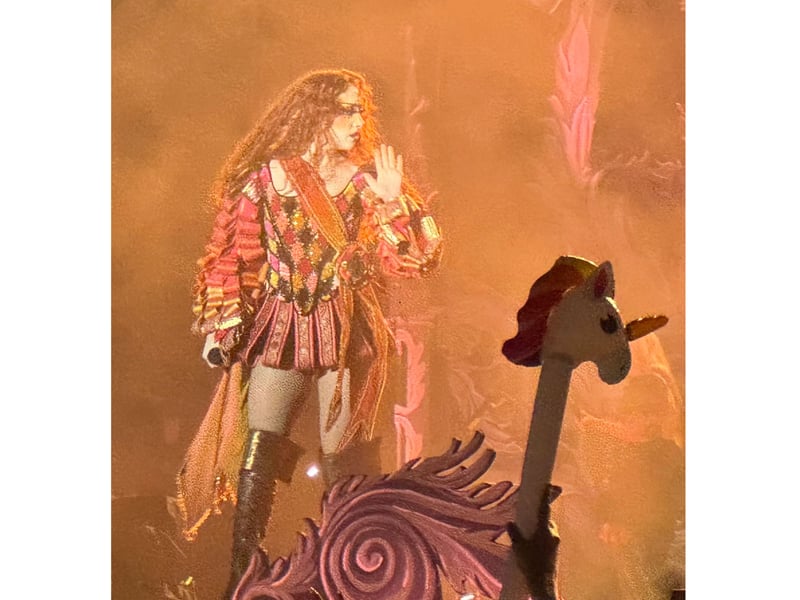 Roan came on stage dressed as a jester.