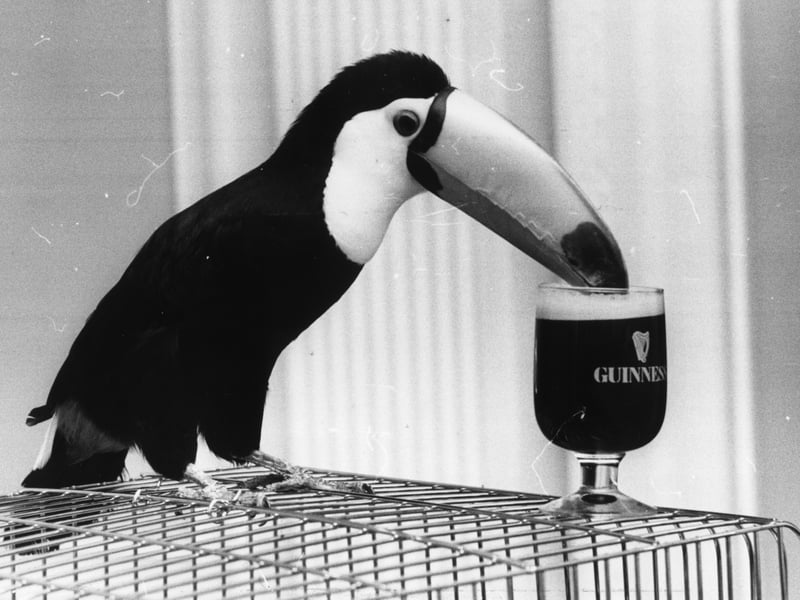 The lunchtime tipple has not disappeared completely, but drinking during work is no longer culturally acceptable in the way it was during the 70s. Back then, it was not uncommon even for builders or factory workers handling heavy machinery to drink several pints during the working day.