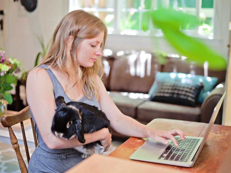It may not always be convenient, but if your rabbit wants to sit on your lap it's because they want to be as close as possible to their favourite person in the world.