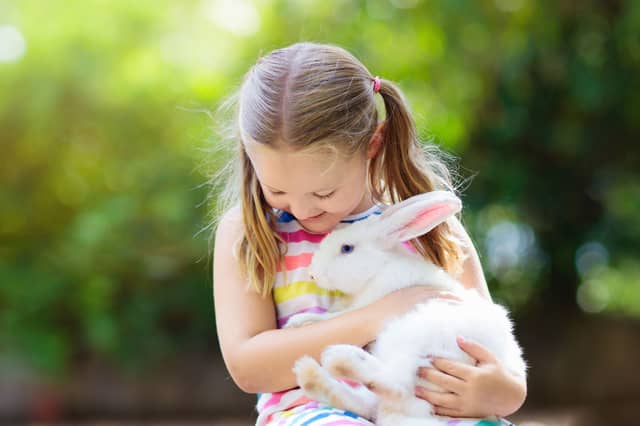 Rabbits have a number of ways of saying 'I love you'.