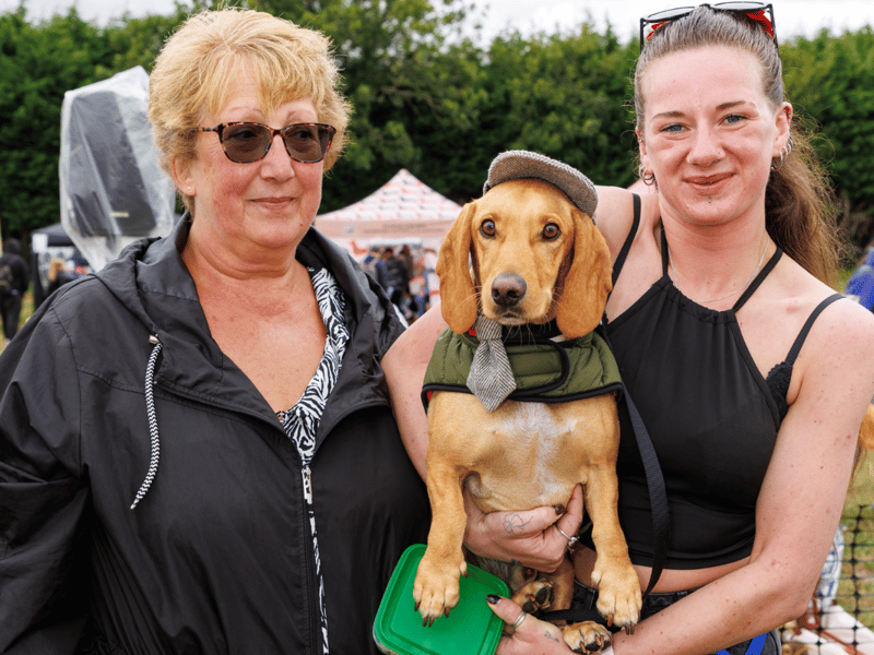 Adorable dogs and proud owners flocked to a popular Dachshund festival in Hampshire.