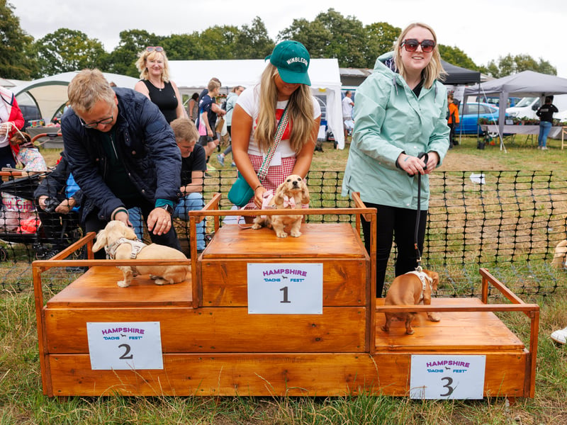 Adorable dogs and proud owners flocked to a popular Dachshund festival in Hampshire.