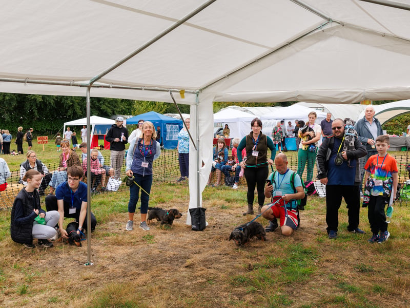 Adorable dogs and proud owners flocked to a popular Dachshund festival in Hampshire.
