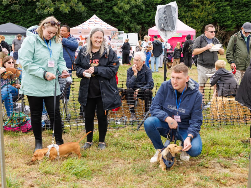 Adorable dogs and proud owners flocked to a popular Dachshund festival in Hampshire.