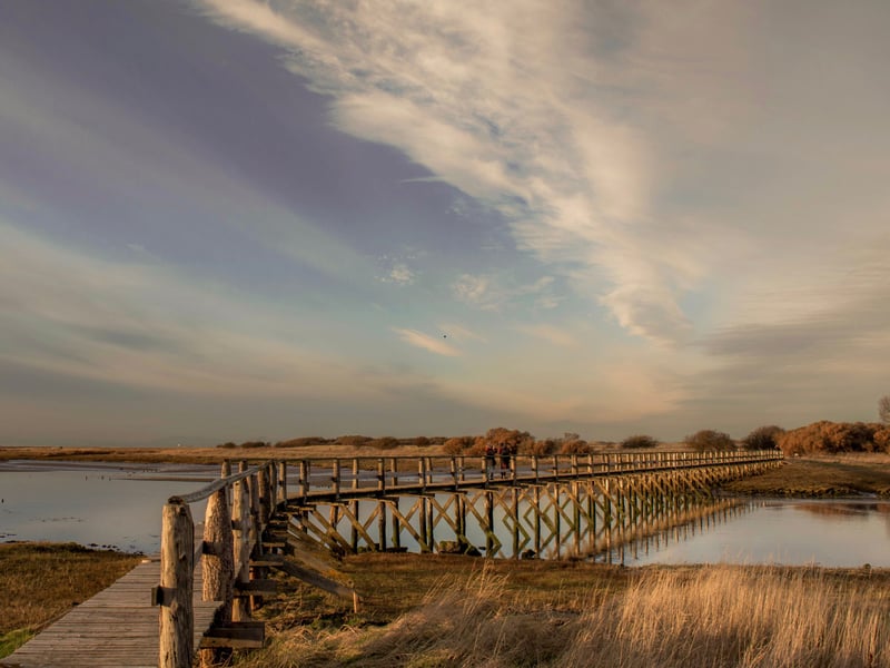 Plenty of other areas of East Lothian are good for wannabe aurora hunters, including the areas around Drem, Gullane, Athelstaneford and East Linton. Aberlady Nature Reserve is a particularly fine spot for a night looking to the heavens.