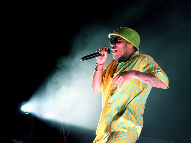 Like Gambino, Anderson .Paak's music is a modern take on the funk-infused hip-hop and soul that OutKast perfected. He has a similar ability to blend singing and rapping over live instrumentation, a style that was heavily featured on Stankonia.