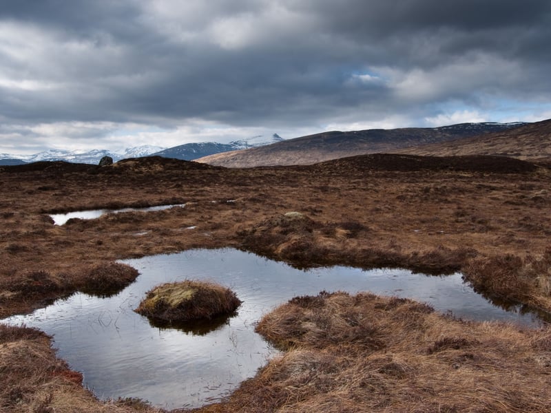 The 50 square miles of boggy and peaty wilderness of Rannoch Moor, in the southern Highlands, is pretty much completely flat, meaning you have a great view of the sky. If the clouds stay away and you get the timing right, you could enjoy a spectacular light show. 