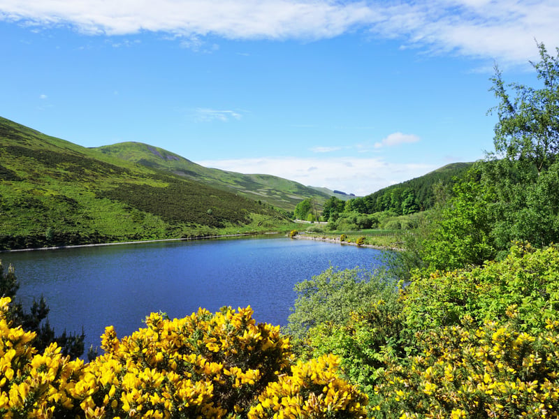 A popular choice with out readers, and easily accessible from Edinburgh, the Pentland Hills offer endless trails and paths, linking several picturesque reservoirs.