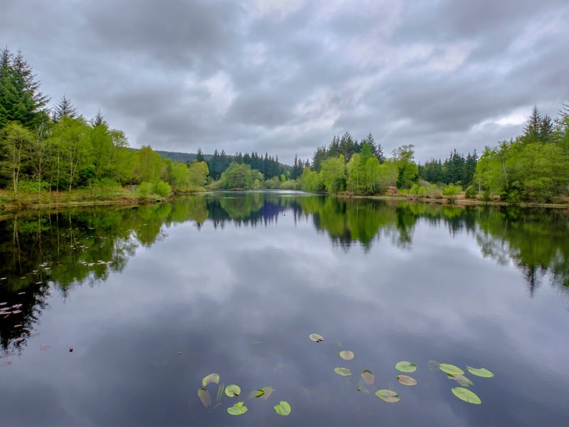 Another vast wooded wilderness, Galloway Forest Park, in the south west of Scotland near Newton Stewart, is the largest forest park in the UK. Perhaps best-known for its status as a recognised dark sky park (it's a pretty good place to go looking for the Northern Lights), it's also glorious to visit during the day. Look out for red deer and even wild goats as you admire the colourful autumn foliage. 