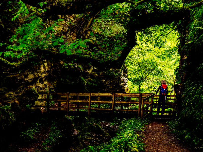 Located just outside Golspie, Big Burn Walk is a favourite with Scotsman readers. Taking around an hour and a half, it zigzags to and fro over Golspie Burn through a verdent forested gorge to a spectacular waterfall.