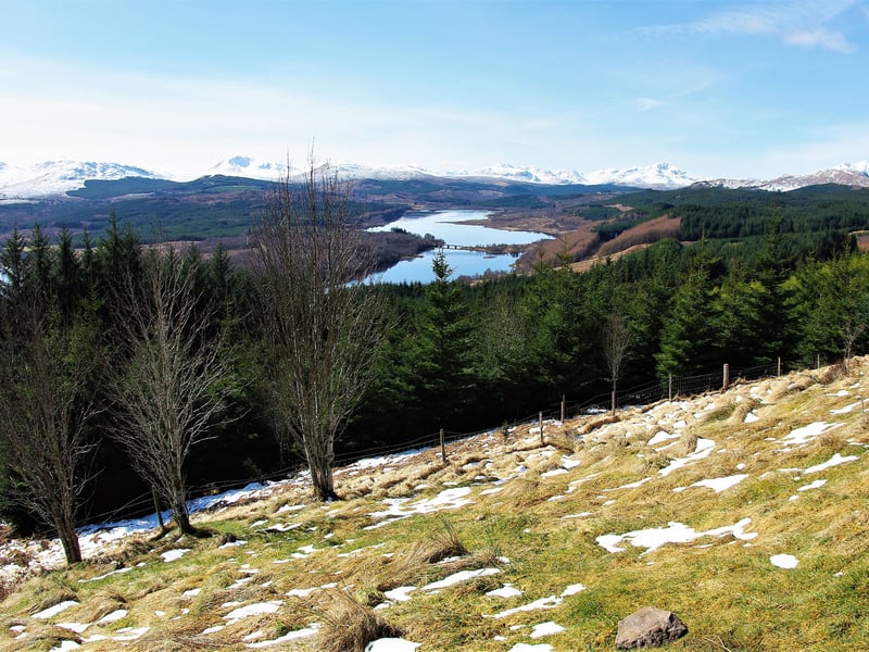 To the north of Fort William, Glengarry Forest has a beautiful and unusual mix of ancient Scots pine and deciduous trees, resulting in a wonderful combination of autumn colours. If you're (very) lucky you mught even see otters playing in the River Garry. 