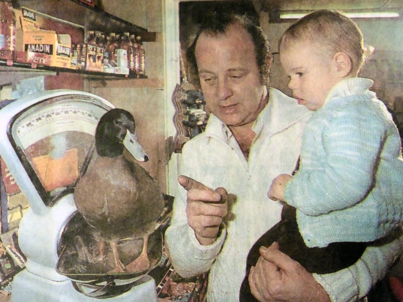 Owners of Doris, a Southsea shop's best-known pet, were in a flap. For Doris was actually a Boris and more of a macho mallard than the dainty duckling he seemed to be. Pictured weighing up whether he was a boy or a girl are puzzled owner Malcolm Jones and 17-month-old Christopher Barber.