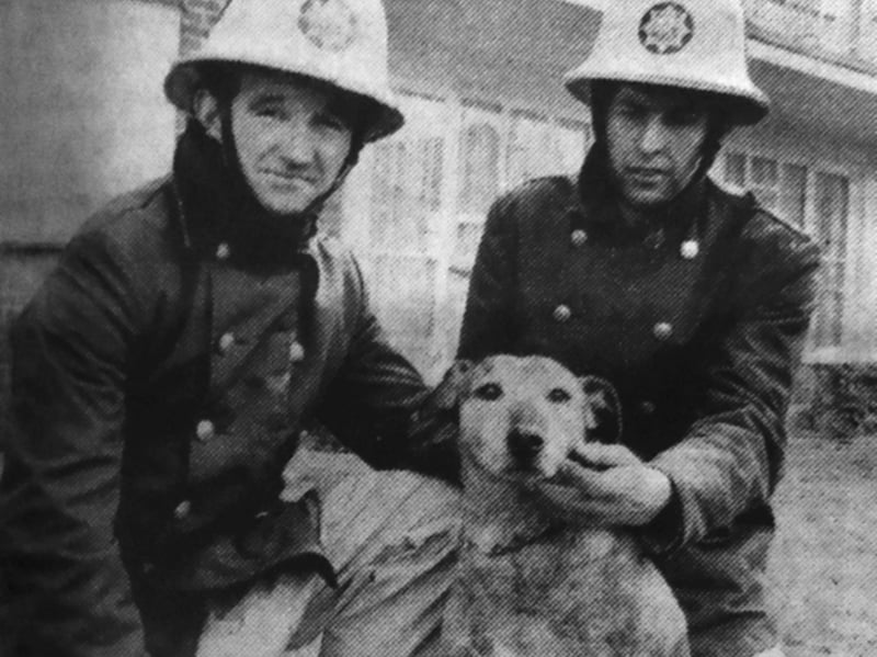 Southsea firefighters John Balderstone, left, and Chris Palmer with Bengy, the dog they rescued from a blaze