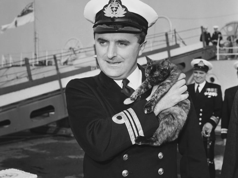 HMS Manxman was disguised as a German Essen during the 1953 war-film. it also featured the Dido-class warship HMS Cleopatra, as well as HMS Glasgow. Pictured: Captain Lieutenant-Commander Alan L. Cawston on board the minesweeper support ship 'HMS Manxman' (M70) with a tailless Manx cat named Manx. He died in 1964.