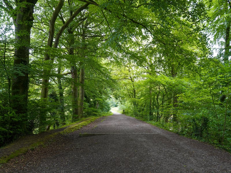 Wirksworth is thought to be the inspiration for literary giants George Eliot and DH Lawrence. If you visited you could be inspired by the stunning market town's beauty too.