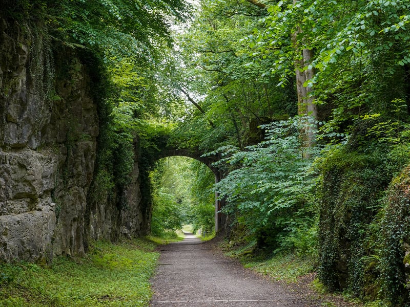 Experience the great outdoors by hiking through deep Derbyshire forests.