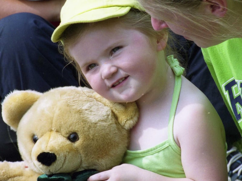 This was the day the Teddy Bears had a picnic in Mowbray Park in June 2000.