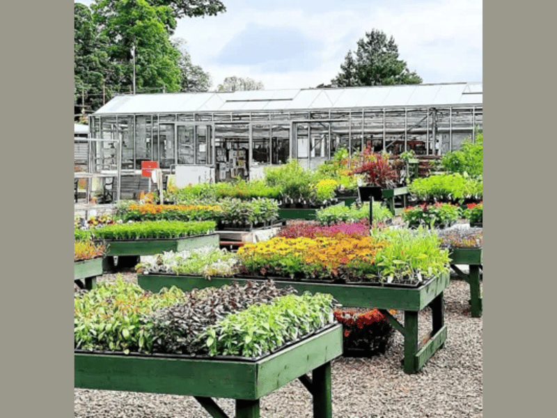 Edinburgh City Council's Inch plant nursery is located within Inch Park in the south of the Capital.
The 3/4 of an acre glasshouse is nestled within the walls of the historic kitchen garden which was once part of original Inch House estate.
The nursery grows plants for Edinburgh's greenspaces including the world famous floral clock. It also has an on-site plant shop open to the public.
There will be guided tours of the glasshouse and community walled garden, as well as plant
propagation demonstrations and a children's potting and seed-sowing station.
Address: Inch Depot, Inch Park, Old Dalkeith Road, EH16 5UF.
Open: Saturday, September 26, 10am-2pm.