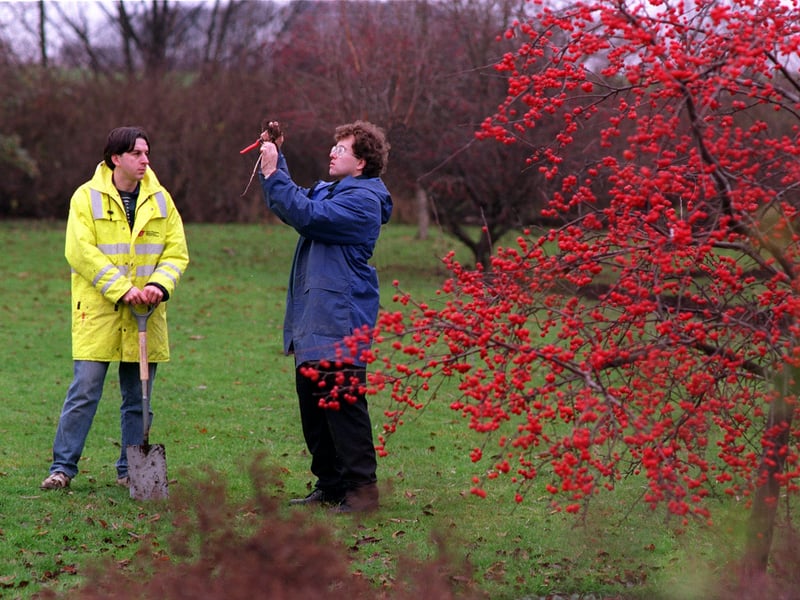 December 1995 and horticulture students Ian Wright, right, and Shaun Brummitt are pictured working in the conservation garden at Hemsworth College, which had been designed by students.