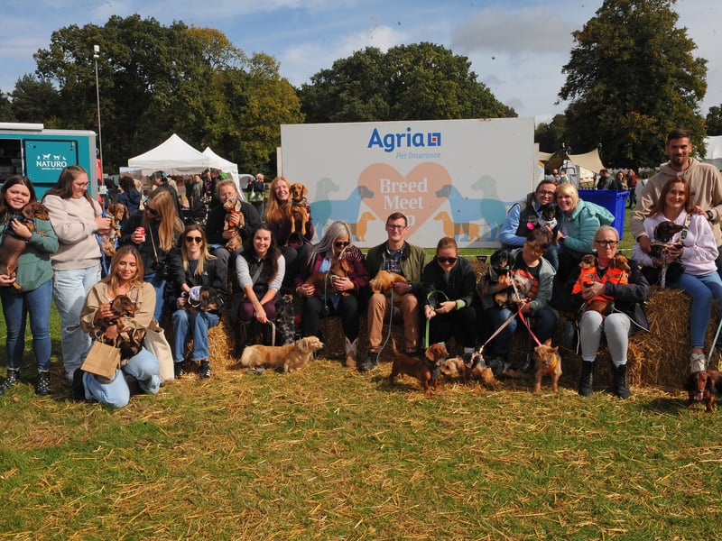 A meet-up was held for the Dachshunds of West Yorkshire